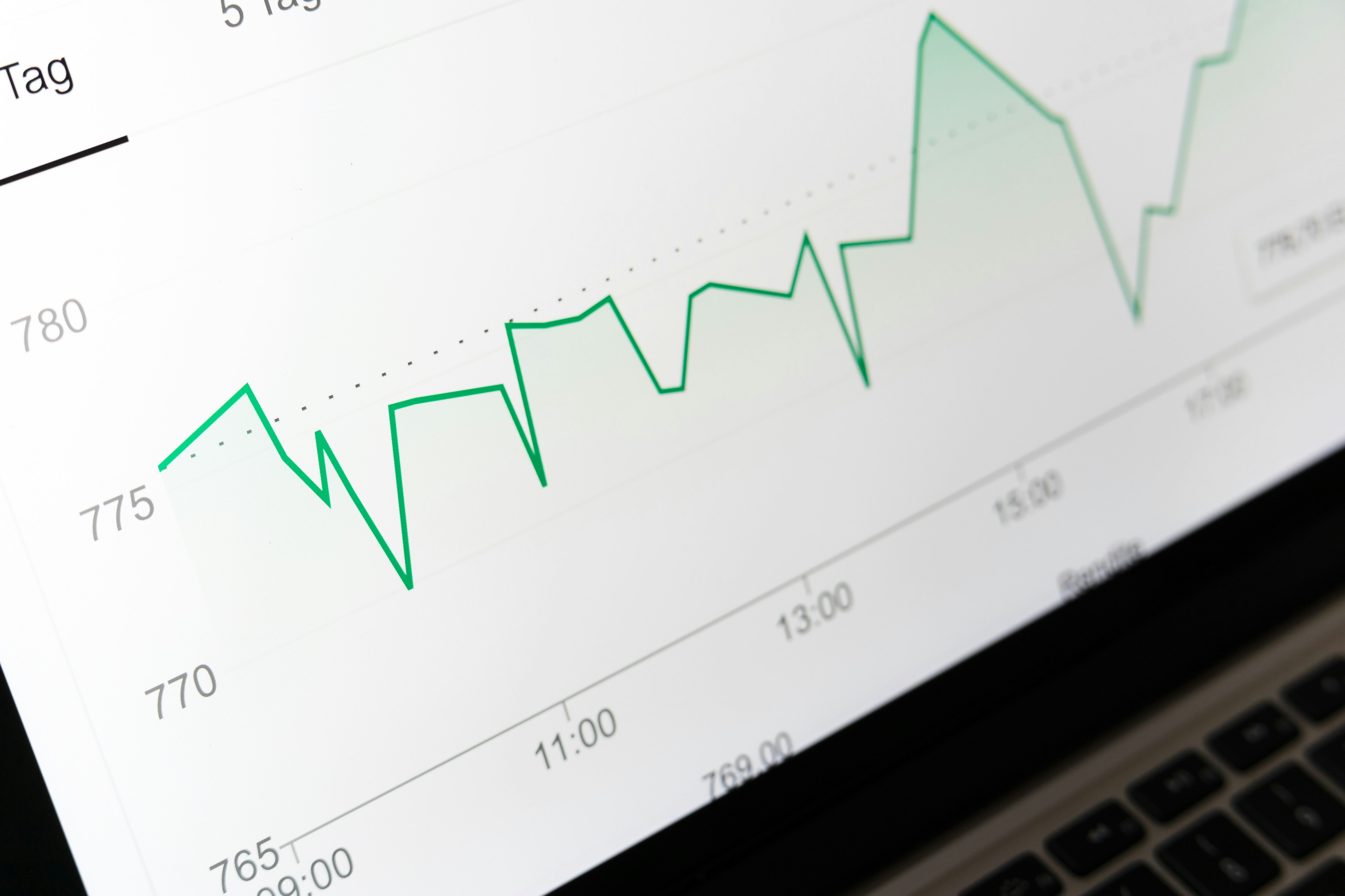Financial expertise at MAYS PAYDAY LOAN LLC